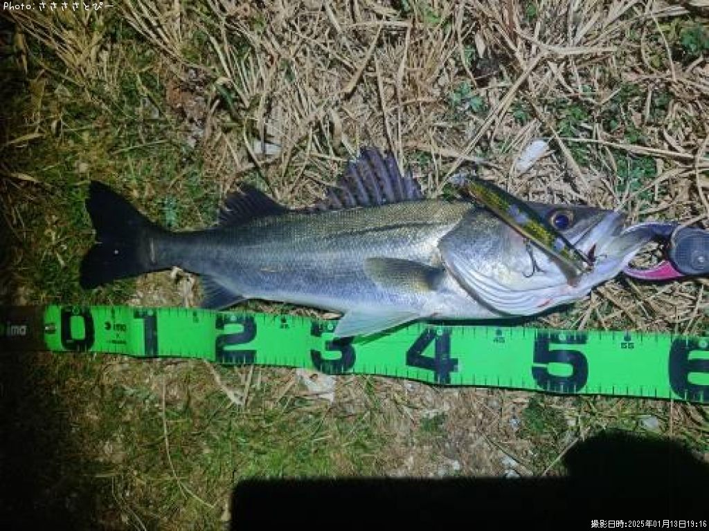 �����Х�