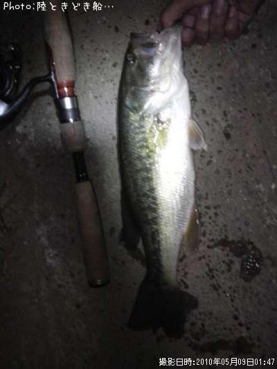 �֥�å��Х�