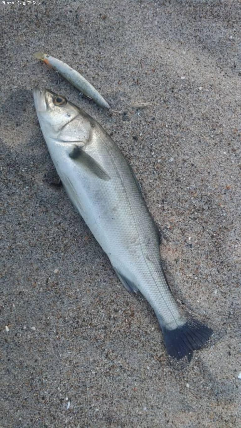 �����Х�