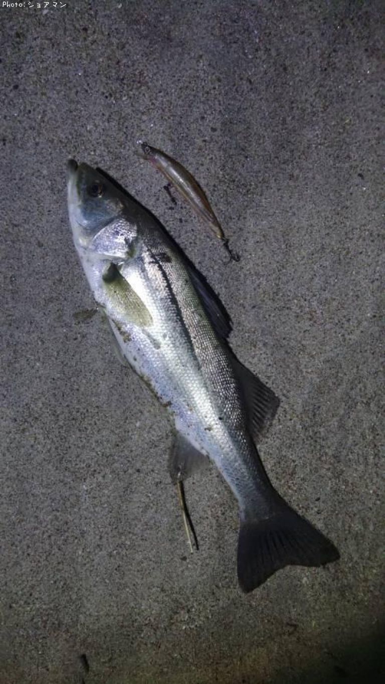 �����Х�