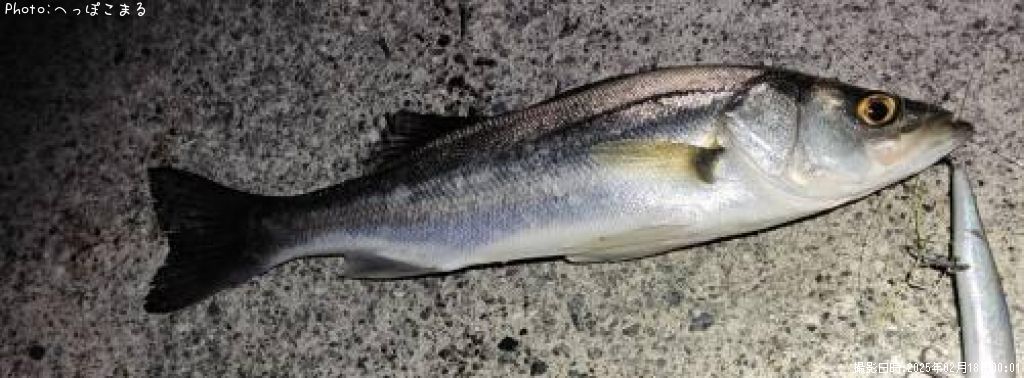 �����Х�