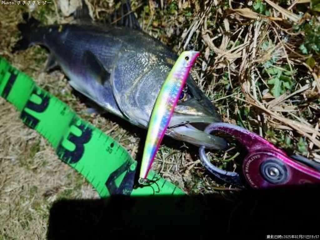 �����Х�