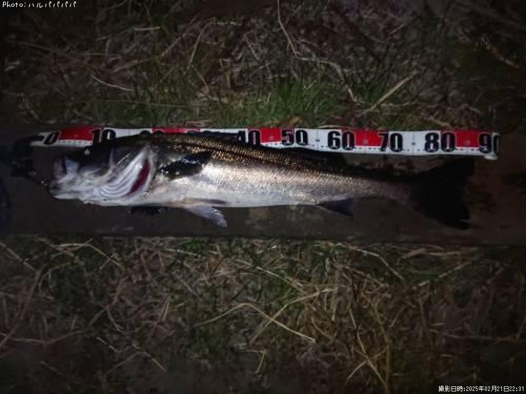 �����Х�