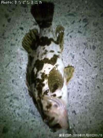 �����Υ���Х�