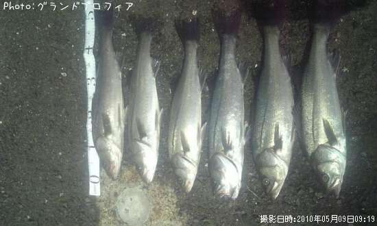 �����Х�