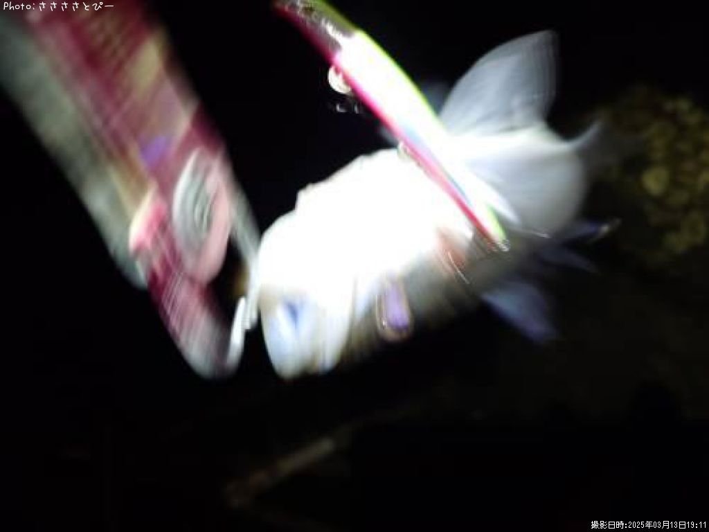 �����Х�