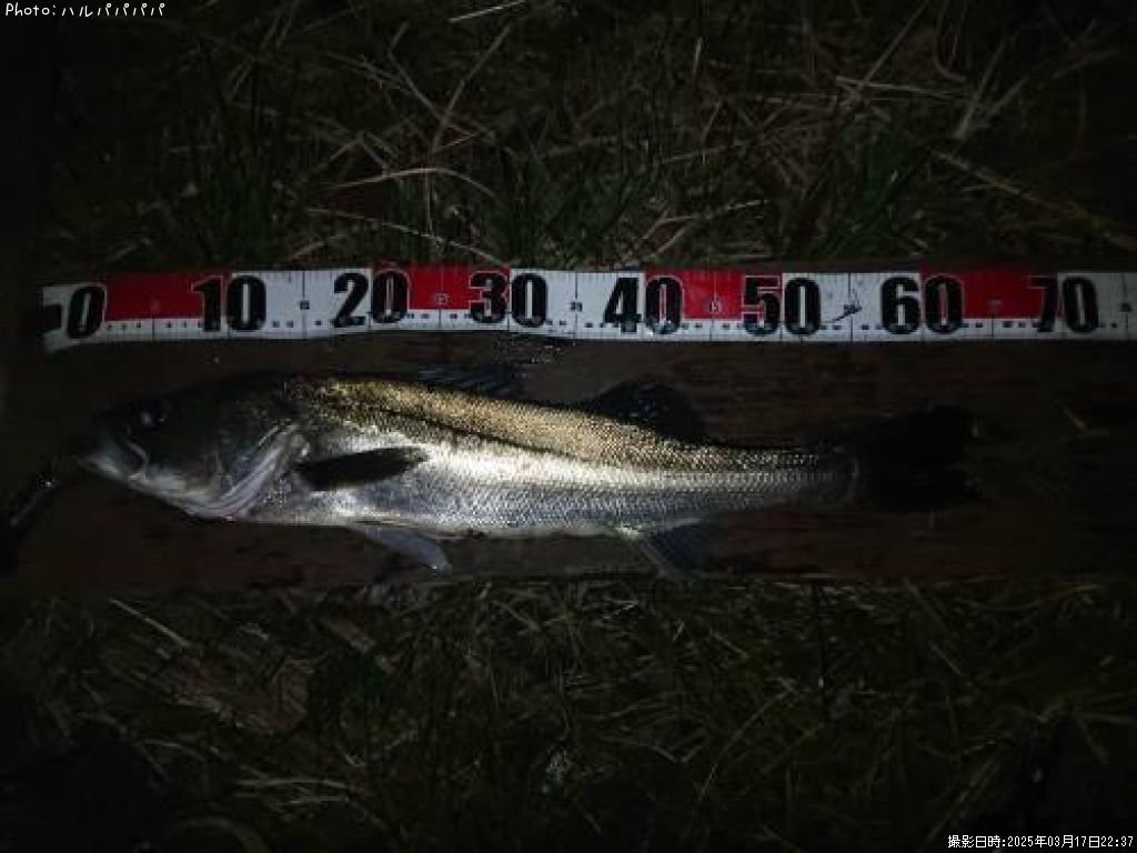 �����Х�