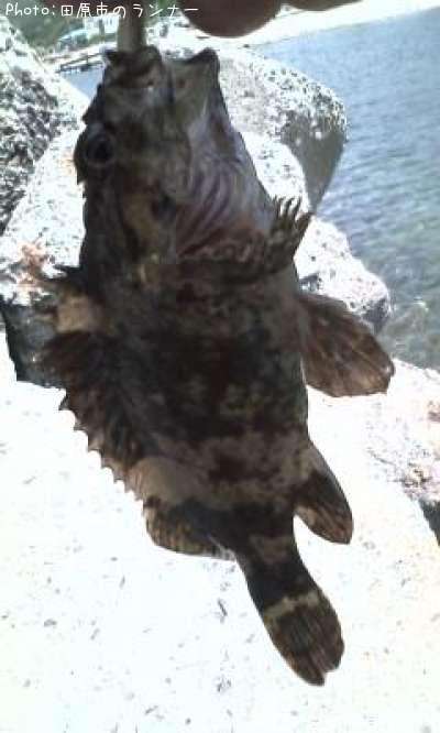 �����Υ���Х�