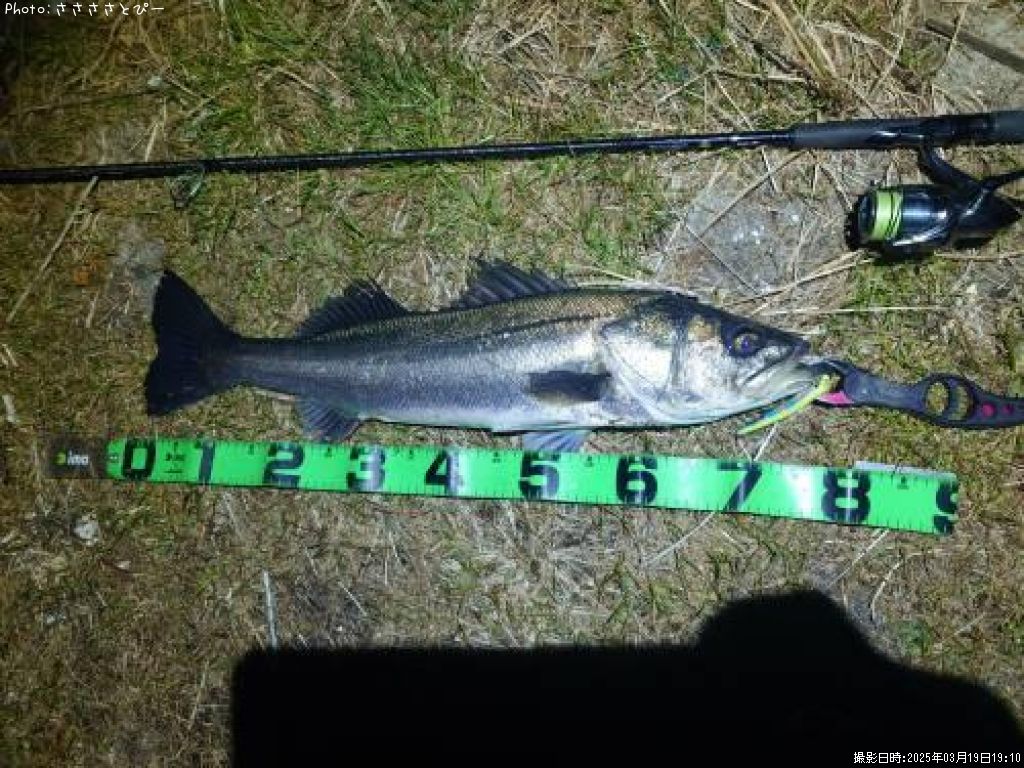 �����Х�