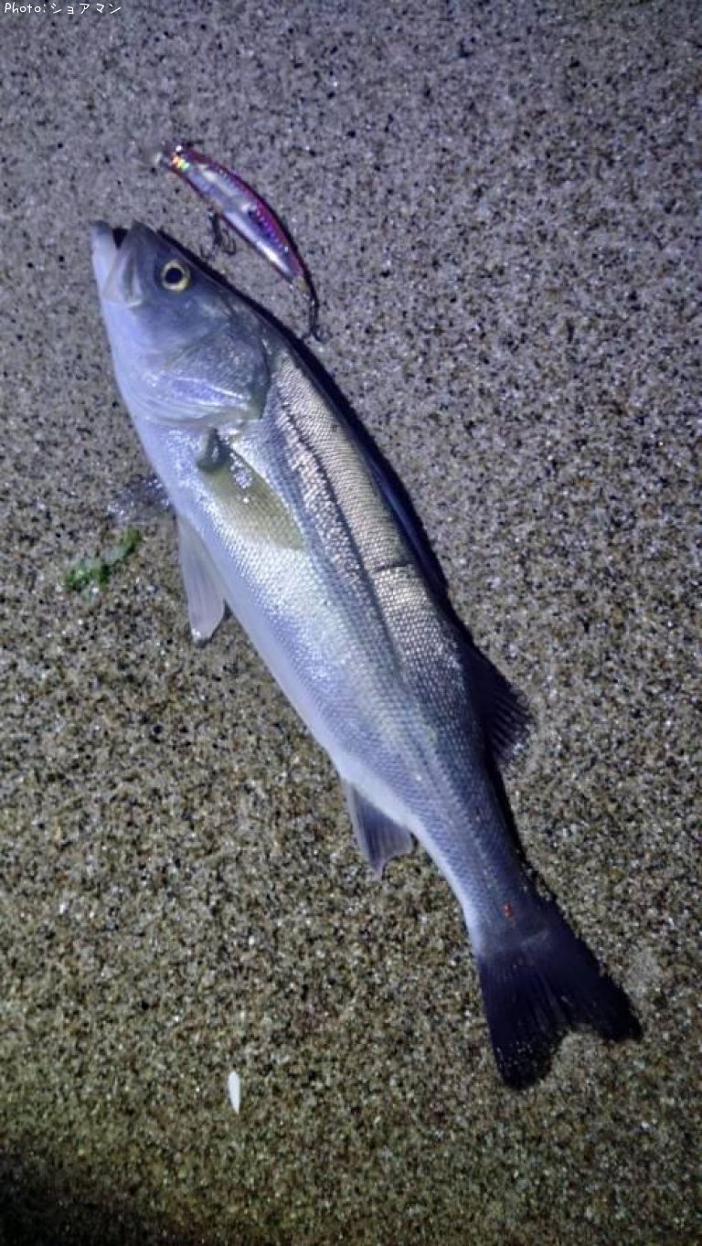 �����Х�