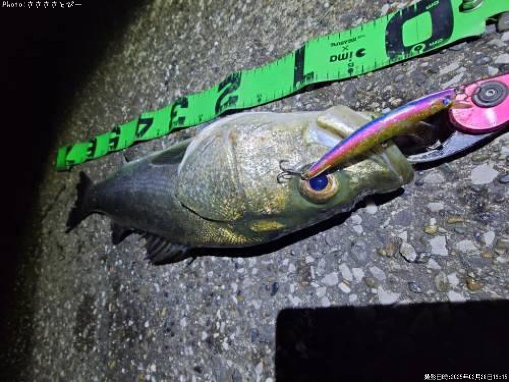 �����Х�