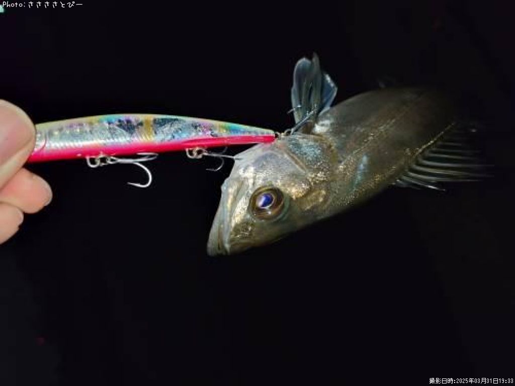 �����Х�