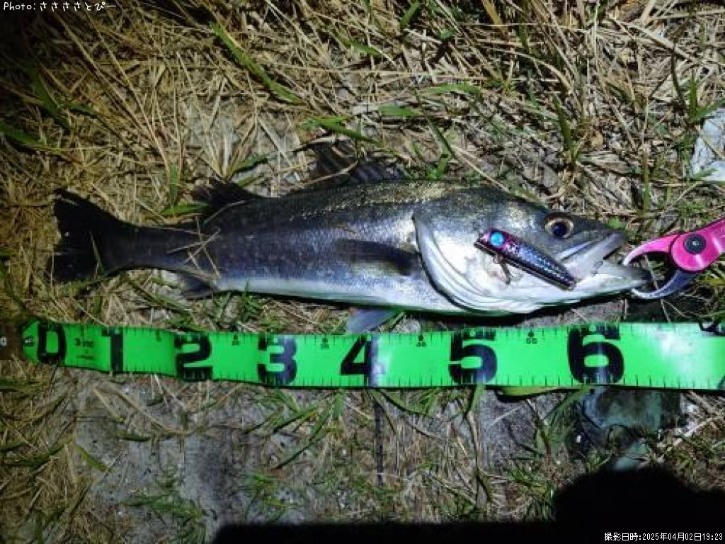 �����Х�