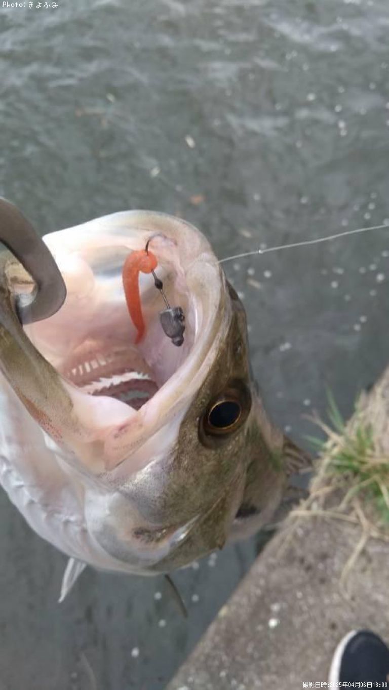 �����Х�