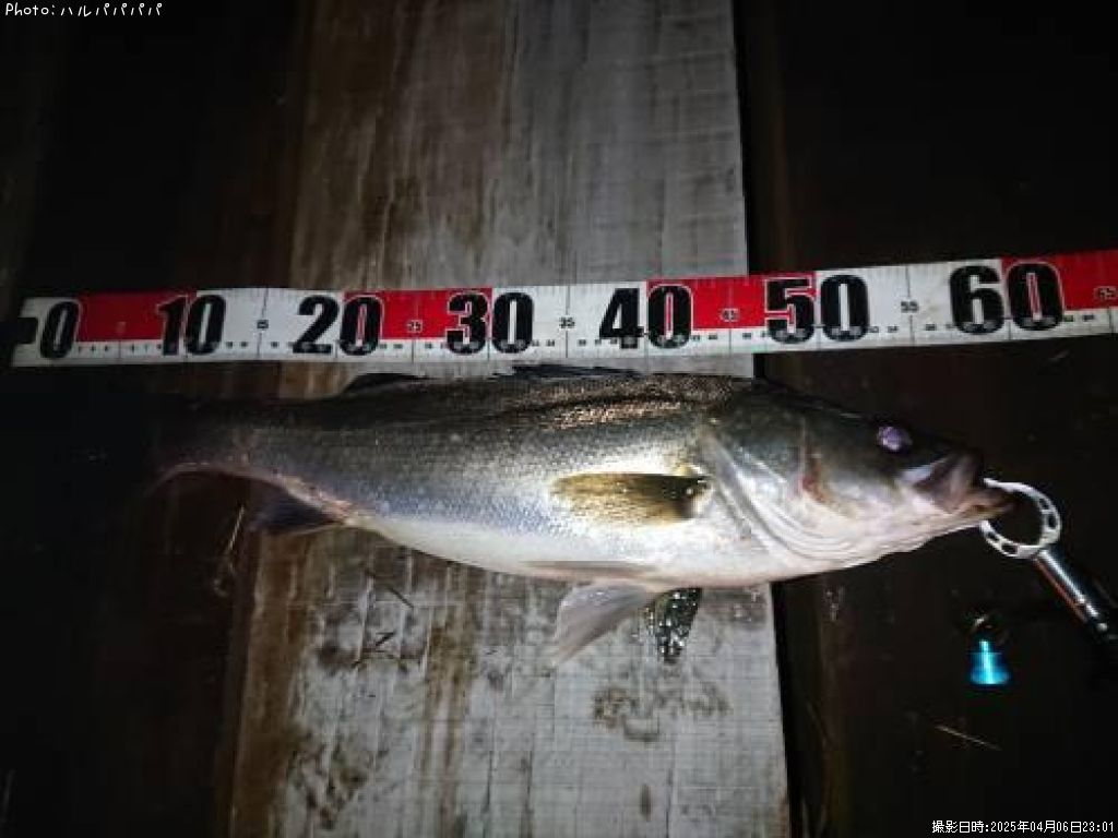 �����Х�