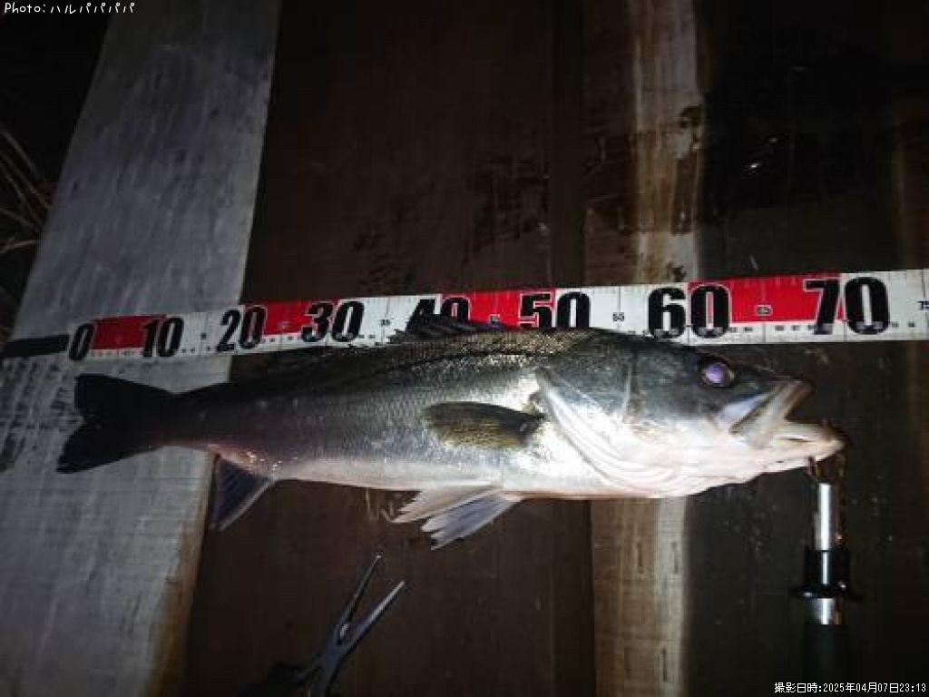 �����Х�