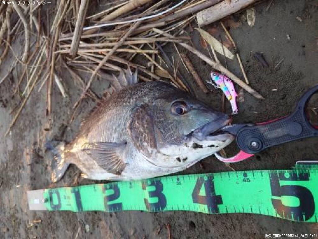 ������������