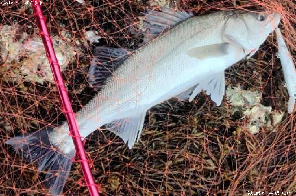 �����Х�