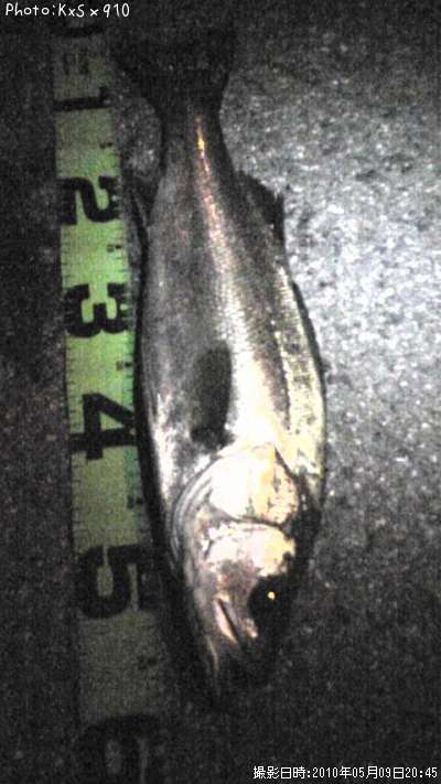 �����Х�