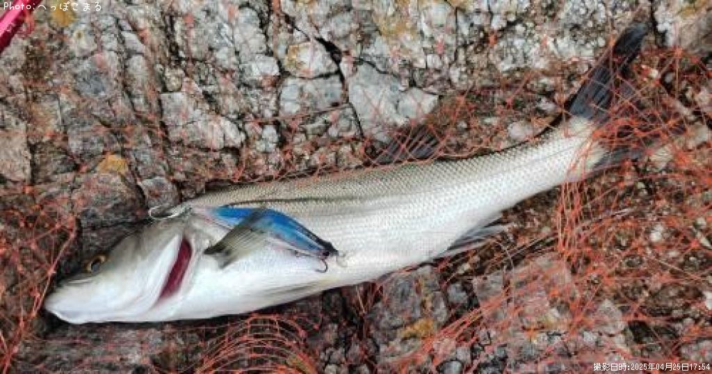 �����Х�