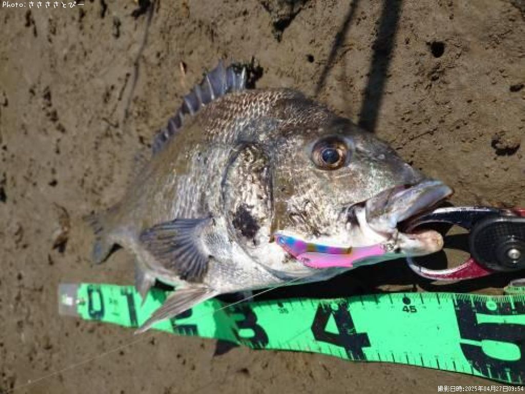 ��������