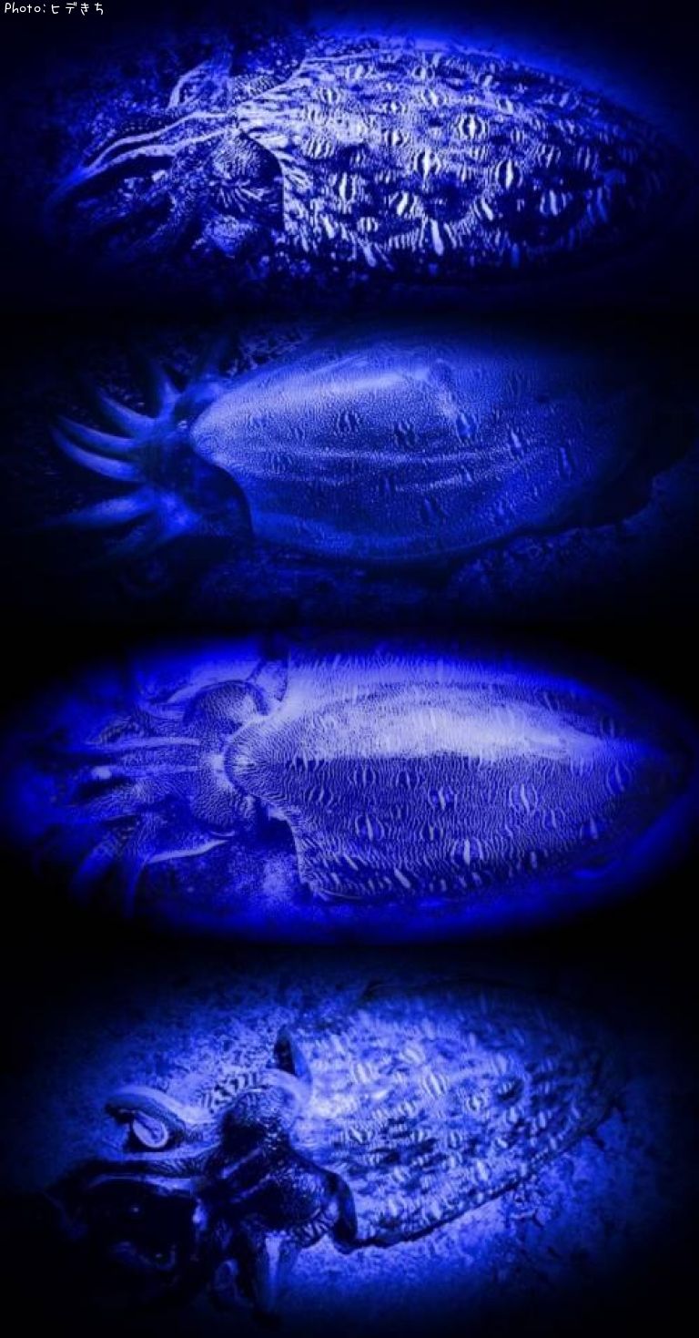 ��󥴥�����