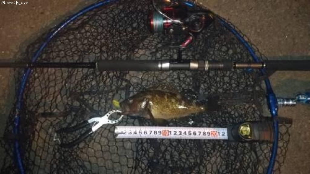 ������Х�