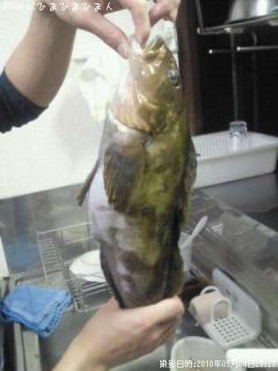 �����ʥ�