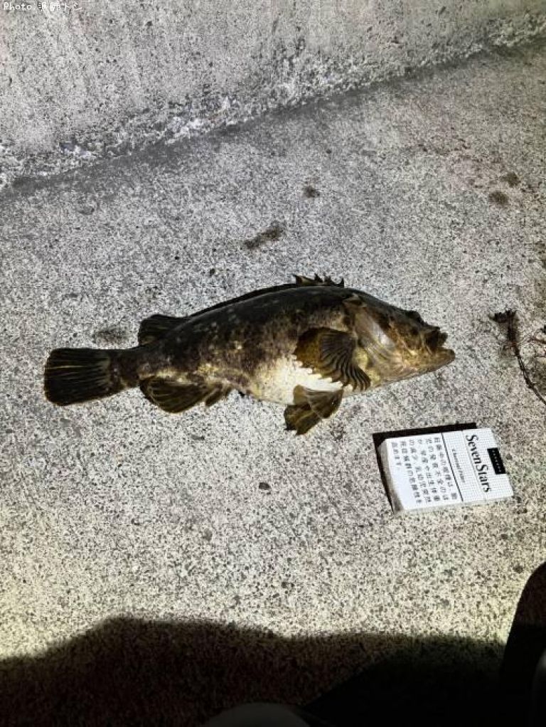 �٥å�������