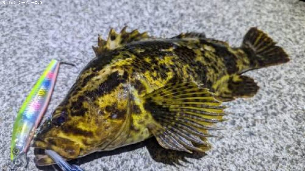 �����Υ���Х�