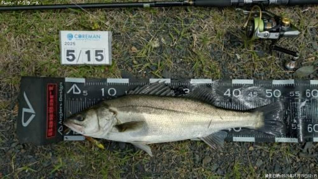 �����Х�