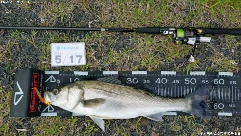 �����Х�