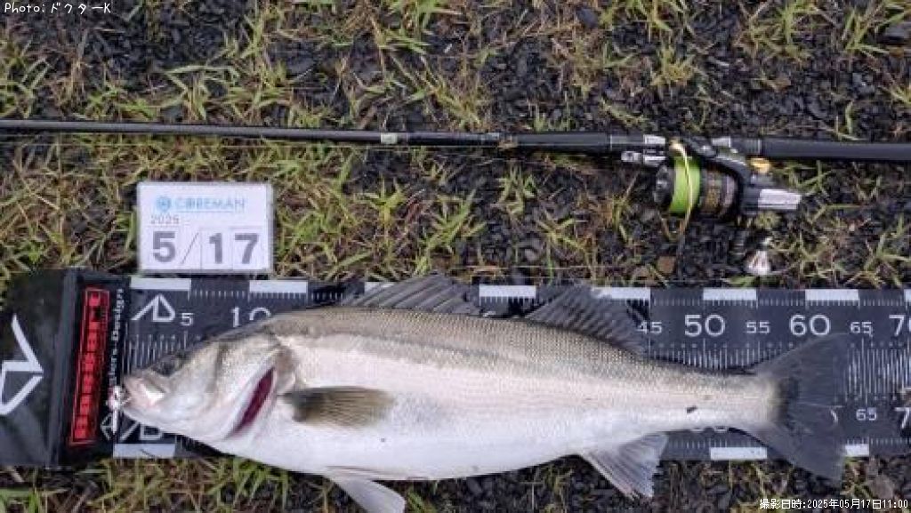 �����Х�