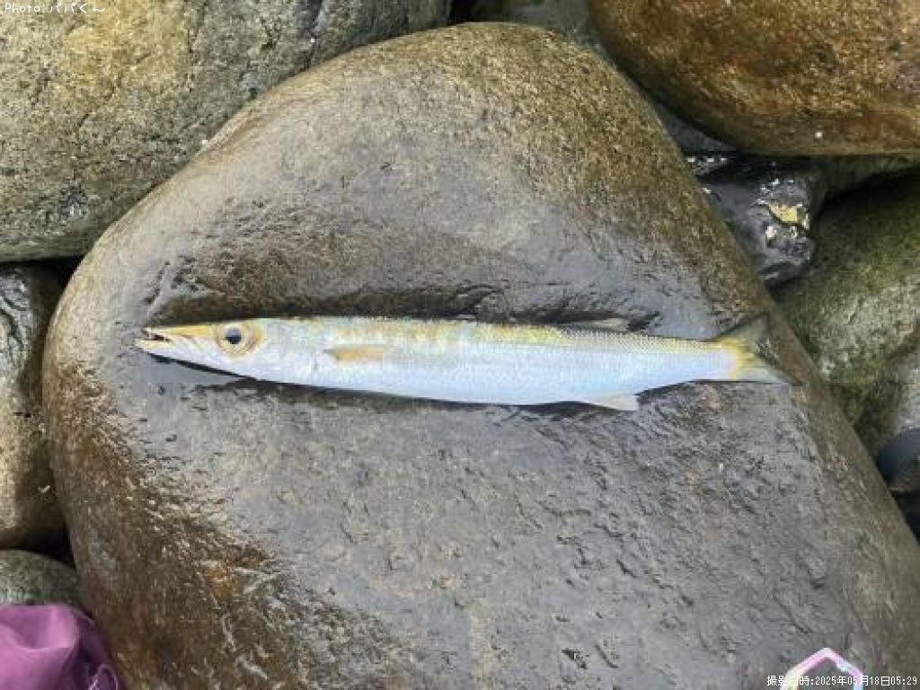 ������󥫥ޥ�