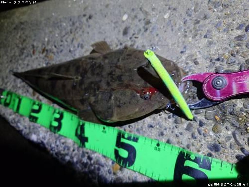 �ޥ����������Х�