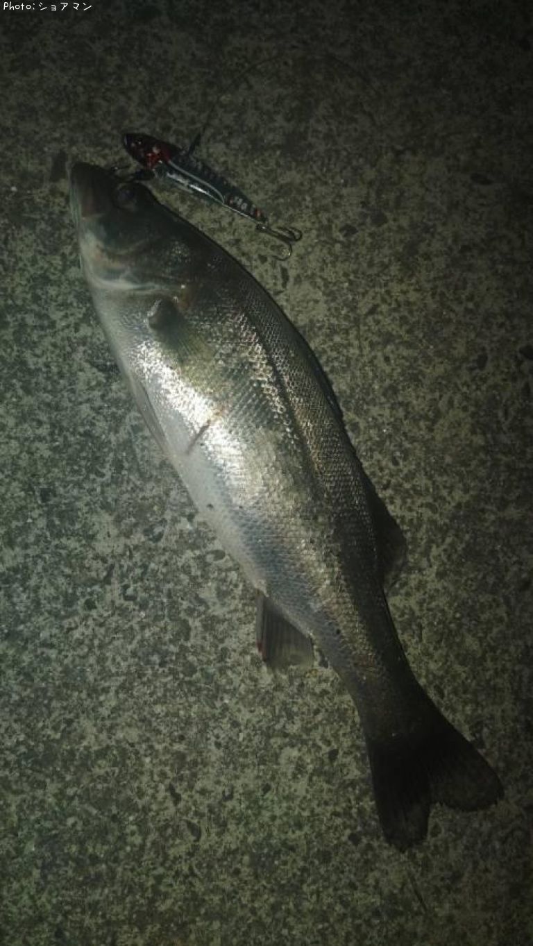 �����Х�