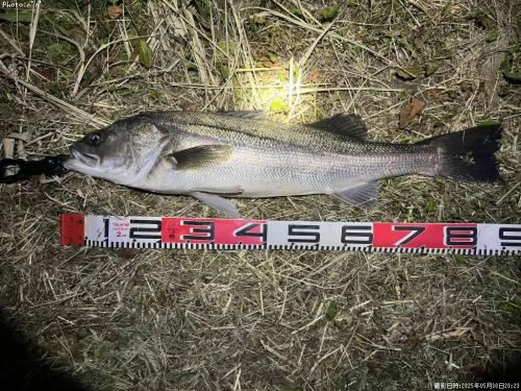 �����Х�