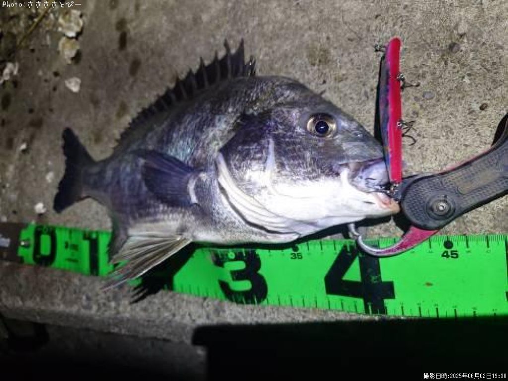 ��������