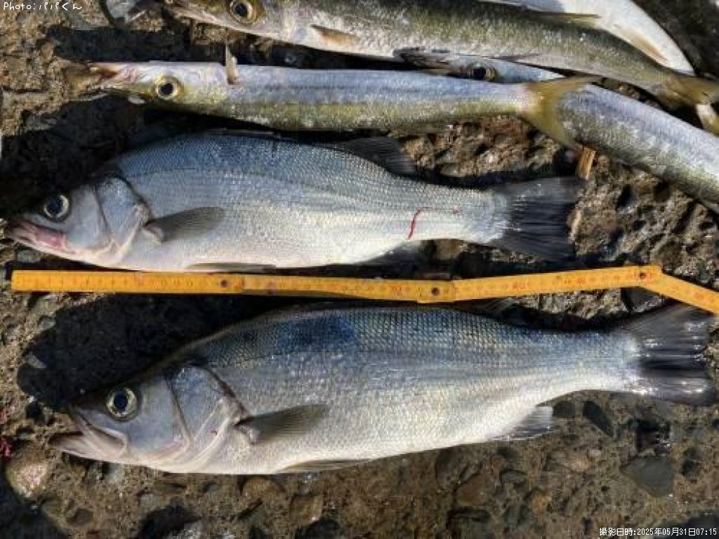 �ҥ饹����