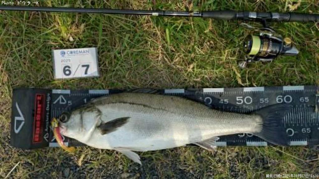 �����Х�