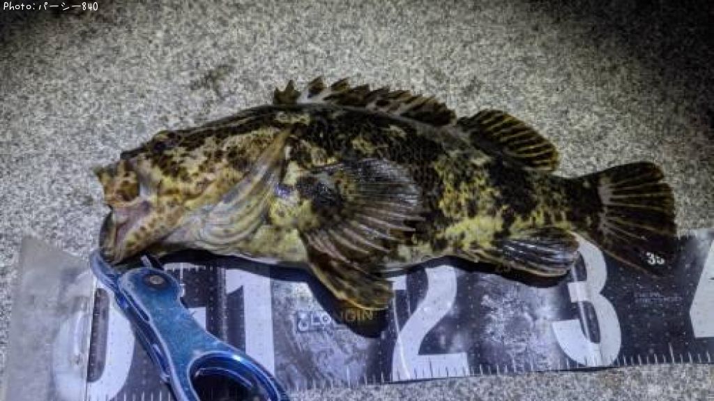 �����Υ���Х�