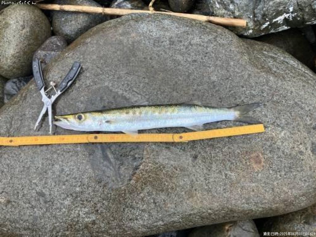 ������󥫥ޥ�