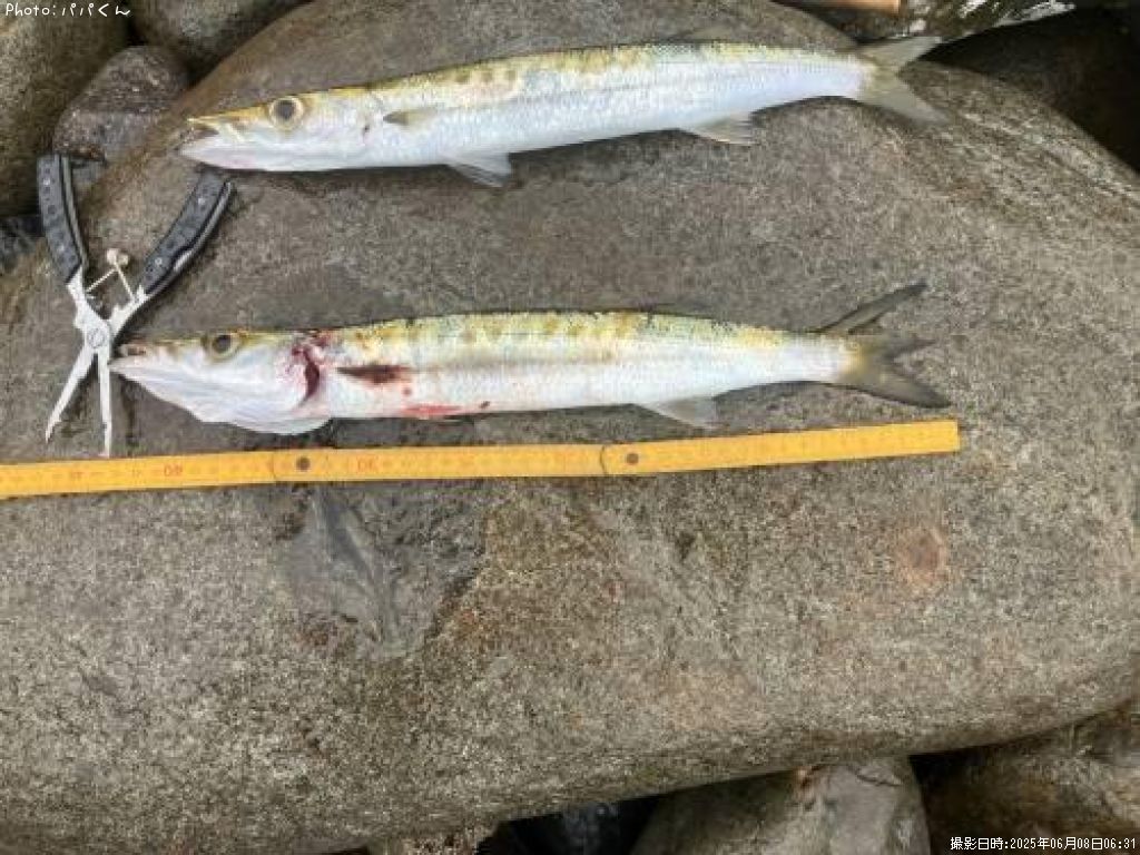 ������󥫥ޥ�