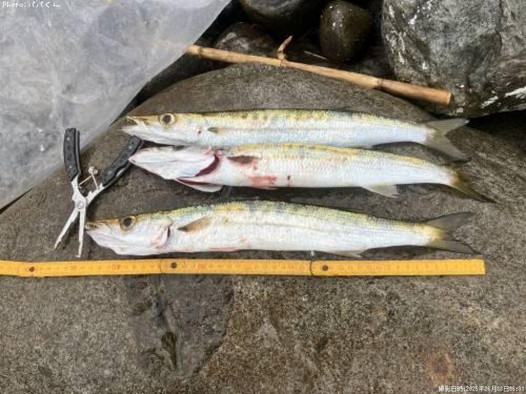 ������󥫥ޥ�