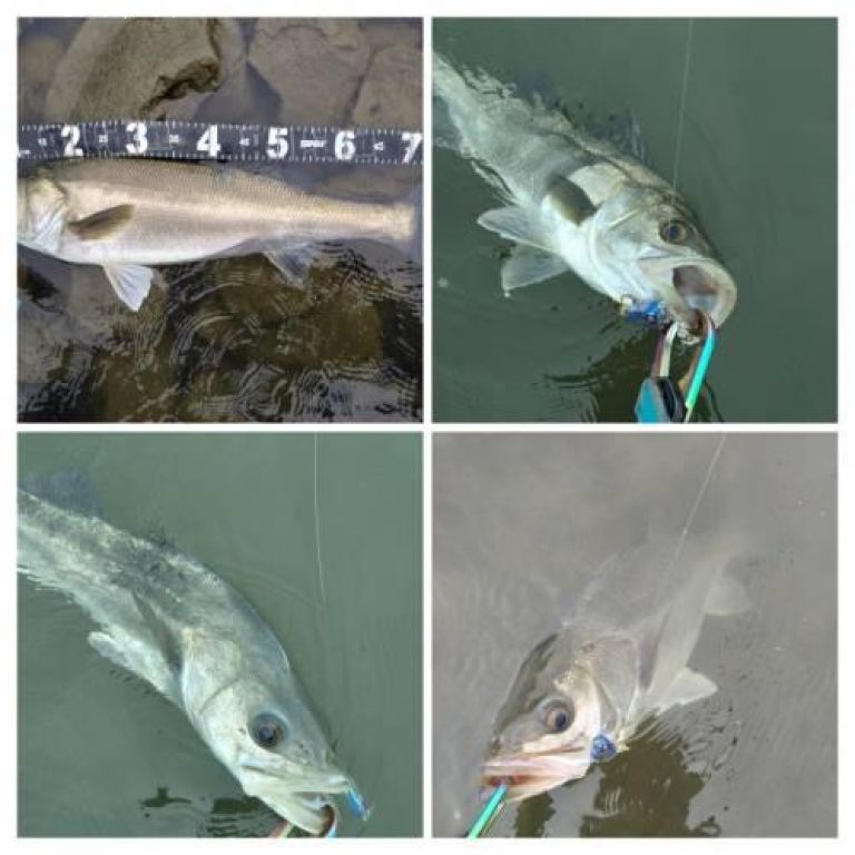 �����Х�