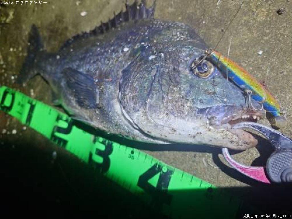 ��������