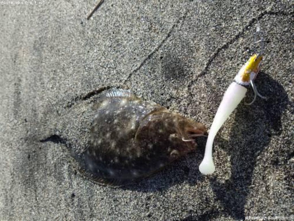 �ҥ�ᡡ����