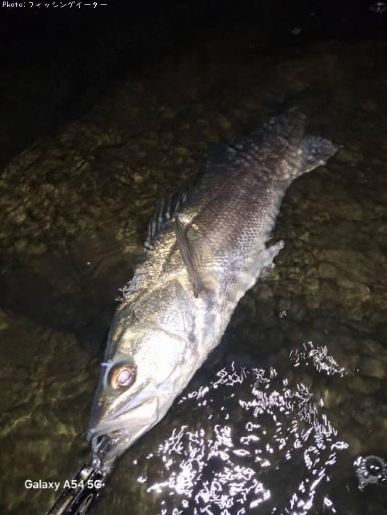 �����Х�