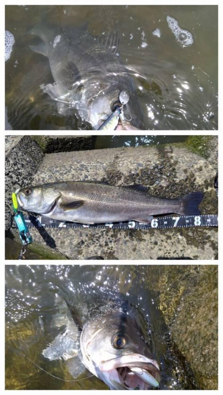 �����Х�