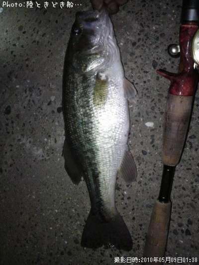 �֥�å��Х�